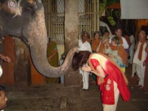 Elephant Blessing